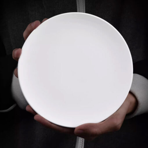 Ceramic Bisque Plate