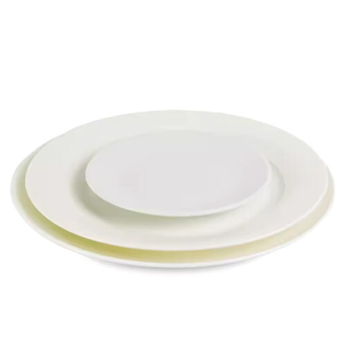 White Ceramic Dishes