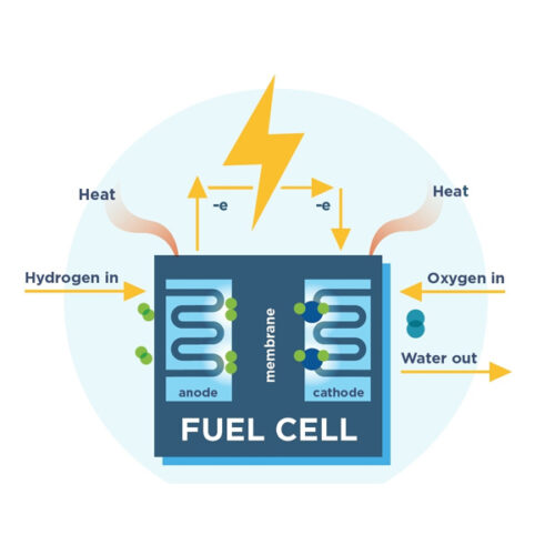 Fuel Cell R&D