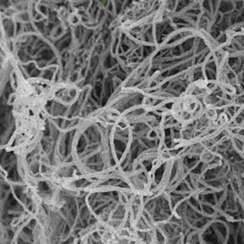 Carboxyl Multi Walled Carbon Nanotubes (long) SEM image